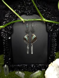Image 1 of Graphium Sarpedon Butterfly Wing Earrings