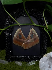 Image 1 of Atlas Moth Wing Earrings II