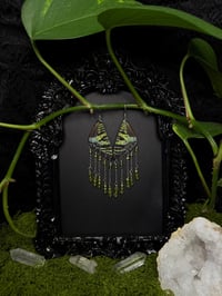 Image 1 of Madagascan Sunset Moth Wing Earrings