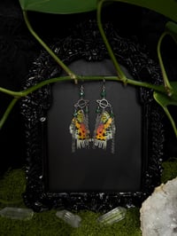 Image 1 of Madagascan Sunset Moth Wing Earrings II