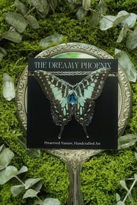 Image 2 of Graphium Antheus Butterfly Necklace