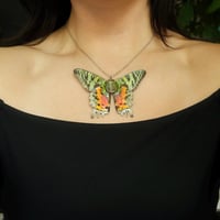 Image 2 of Madagascan Sunset Moth Necklace