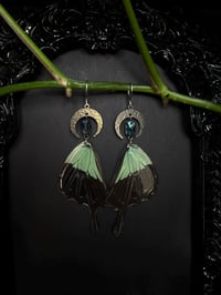 Image 2 of Mint Swallowtail Butterfly Wing Earrings II