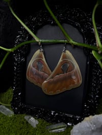 Image 2 of Atlas Moth Wing Earrings II