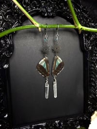 Image 2 of Graphium Sarpedon Butterfly Wing Earrings