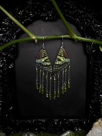 Image 2 of Madagascan Sunset Moth Wing Earrings