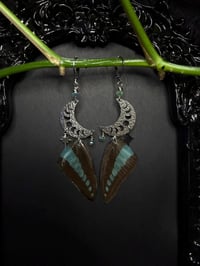 Image 2 of Graphium Sarpedon Butterfly Wing Earrings II