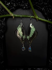 Image 2 of Mint Swallowtail Butterfly Wing Earrings