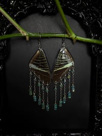 Image 2 of Urania Leilus Moth Wing Earrings