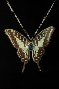 Image 3 of Graphium Antheus Butterfly Necklace