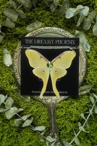 Image 3 of Luna Moth Necklace