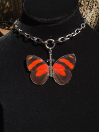 Image 3 of Callicore Cynosura Butterfly Sword Choker
