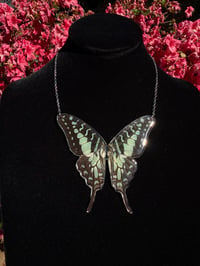 Image 3 of Graphium Antheus Butterfly Necklace II