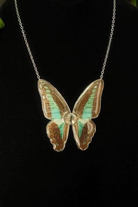 Image 4 of Graphium Sarpedon Butterfly Necklace
