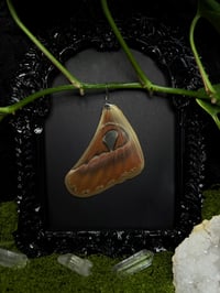 Image 3 of Atlas Moth Wing Earrings II