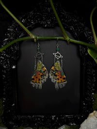 Image 2 of Madagascan Sunset Moth Wing Earrings III