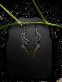 Image 3 of Graphium Sarpedon Butterfly Wing Earrings II