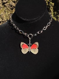 Image 3 of The Crazy 88 — Diaethria Clymena Butterfly Choker