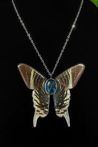 Image 3 of Urania Leilus Moth Necklace