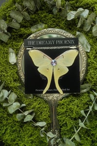 Image 4 of Luna Moth Necklace