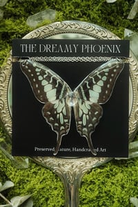 Image 4 of Graphium Antheus Butterfly Necklace II