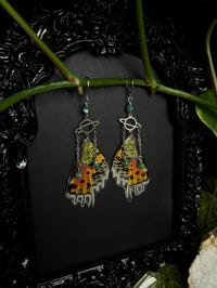 Image 3 of Madagascan Sunset Moth Wing Earrings III