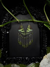 Image 4 of Madagascan Sunset Moth Wing Earrings