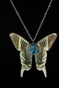 Image 4 of Urania Leilus Moth Necklace