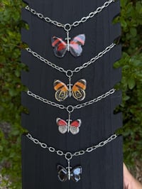 Image 4 of The Crazy 88 — Diaethria Clymena Butterfly Choker