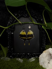 Image 1 of Giant Swallowtail Butterfly Wing Earrings II