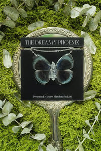 Image 1 of Asterope Leprieuri Butterfly Necklace