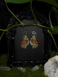 Image 4 of Madagascan Sunset Moth Wing Earrings III