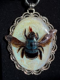 Image 4 of Bloobie — Blue Carpenter Bee Choker