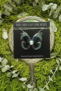 Image 2 of Asterope Leprieuri Butterfly Necklace