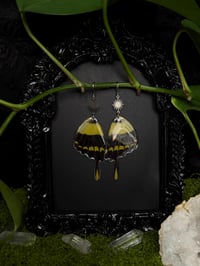 Image 4 of Giant Swallowtail Butterfly Wing Earrings II