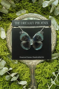 Image 3 of Asterope Leprieuri Butterfly Necklace