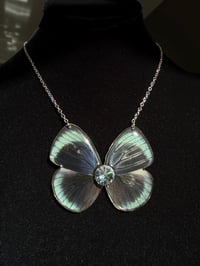 Image 5 of Asterope Leprieuri Butterfly Necklace