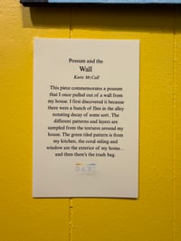 Image 3 of The Possum and the Wall