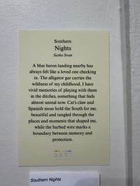 Image 2 of Southern Nights
