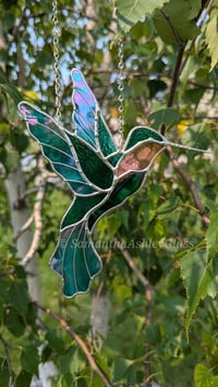 Image 2 of Hummingbird with Iridescent Wings