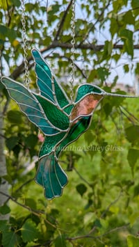 Image 3 of Hummingbird with Iridescent Wings
