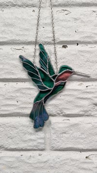 Image 5 of Hummingbird with Iridescent Wings