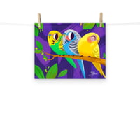 Image 3 of Parakeet Melody Print