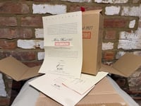 Image 3 of Steiff Molly Dog - Boxed with Certificate 22cm 400889