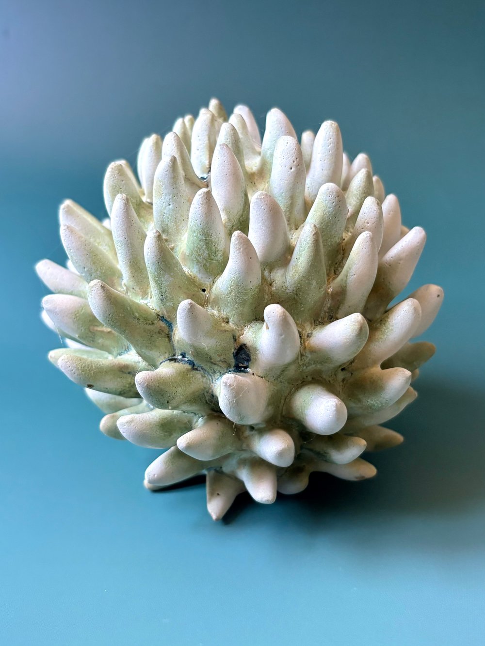 Image of Arctic thistle 