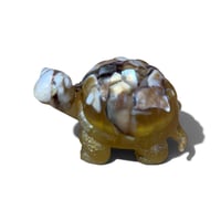 Image 3 of TURTLES , TURTLES & MORE TURTLES