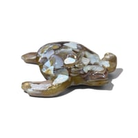Image 14 of TURTLES , TURTLES & MORE TURTLES