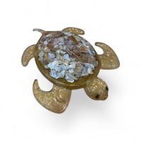 Image 15 of TURTLES , TURTLES & MORE TURTLES