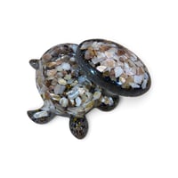 Image 10 of TURTLES , TURTLES & MORE TURTLES