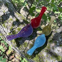 Image 6 of Songs Birds